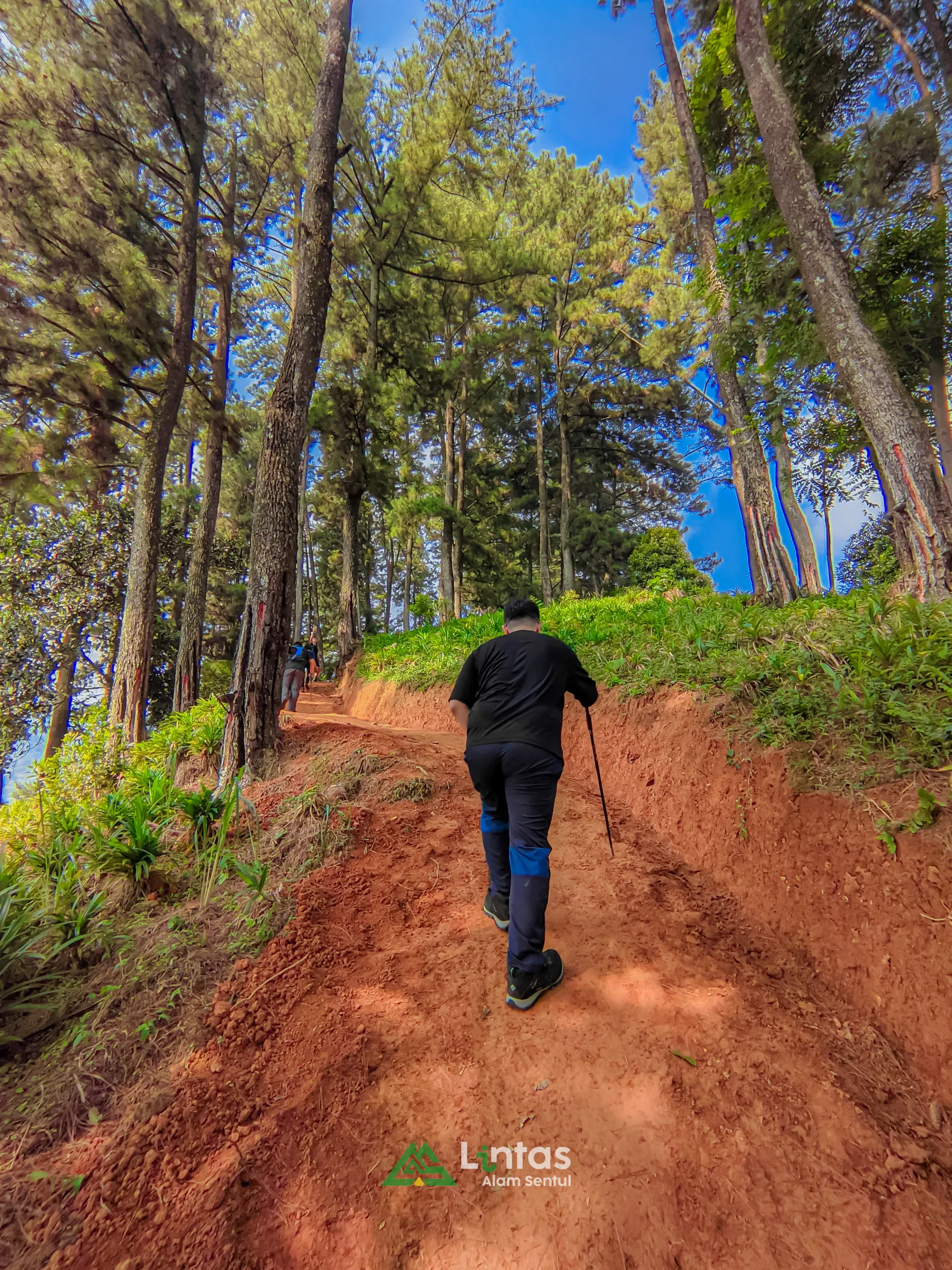Trekking Bukit Paniisan