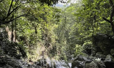 Trekking Curug Cibingbin - Bogor Juara Trip