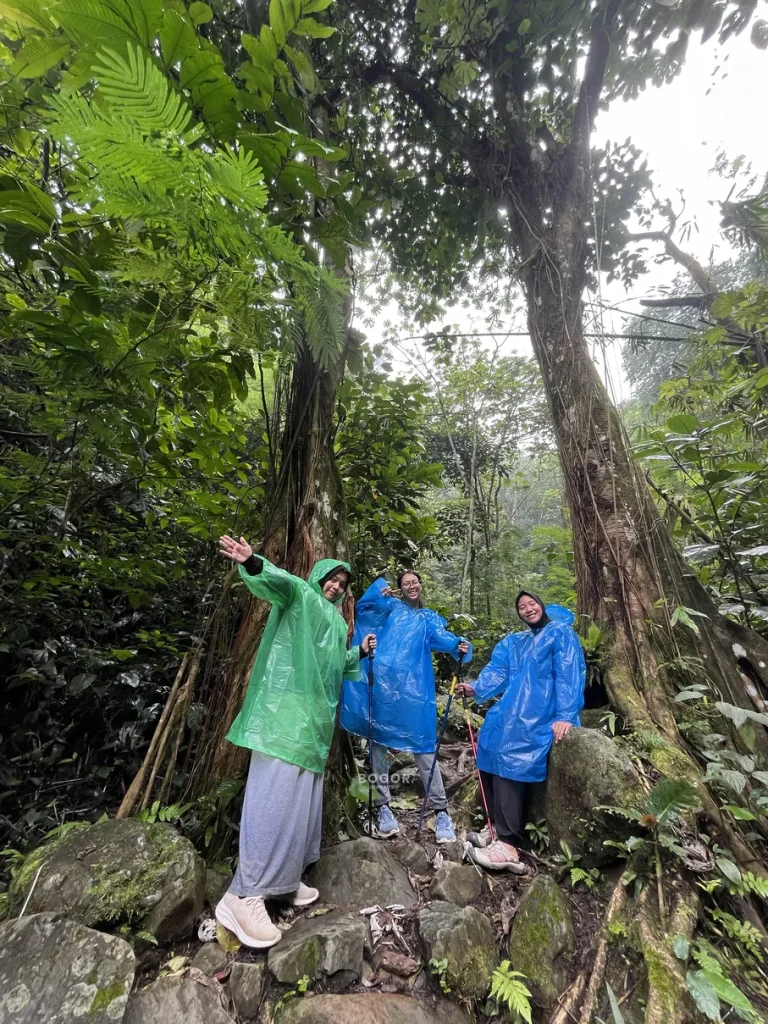 Trekking Curug Cibingbin - Bogor Juara Trip